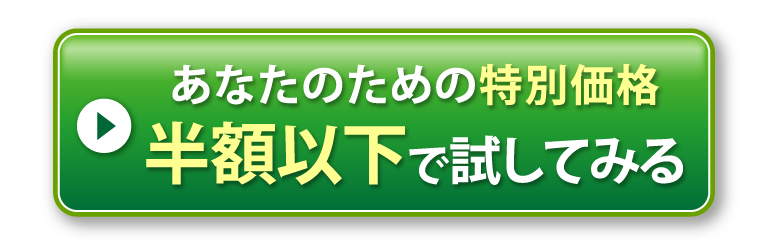 半額以下で試してみる