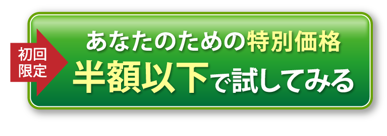 半額以下で試してみる