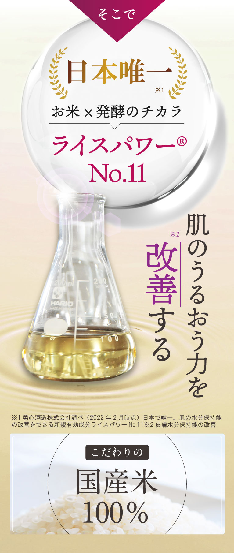 ライスパワーno11